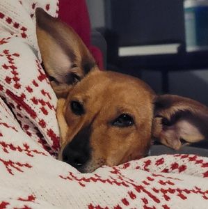 Meet your Posher, Eileen